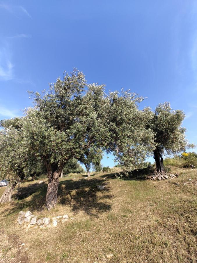באר Olive Hills Holiday Homes מראה חיצוני תמונה